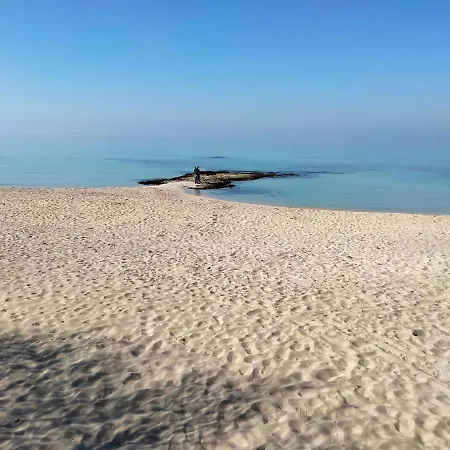 Cinzia * 加利波利